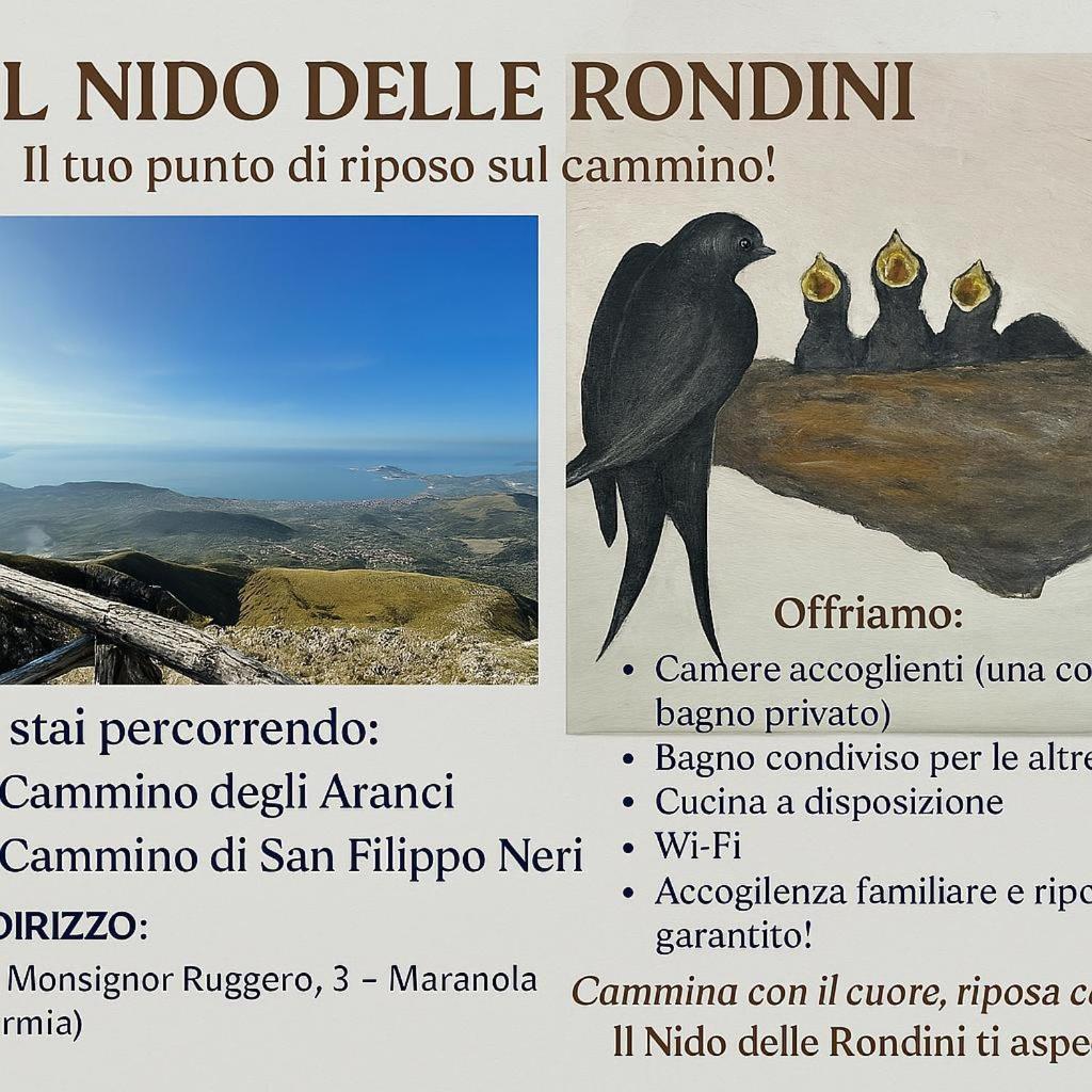 Il Nido Delle Rondini Lejlighed Formia Eksteriør billede